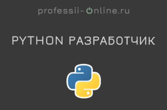 Профессия Python разработчик (программист)